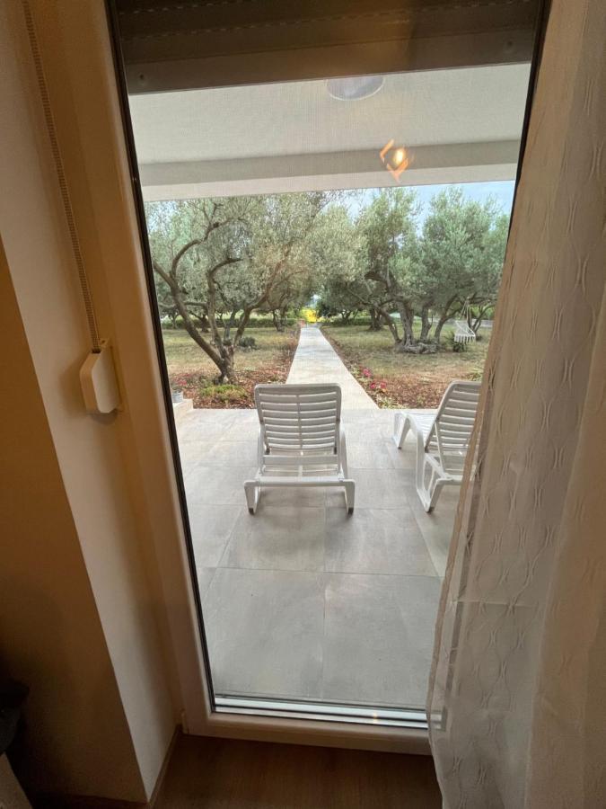 Apartman Oliva Zadar Exteriör bild